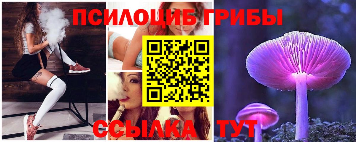 Барнаул  Псилоцибиновые грибы GOLDEN TEACHER  Вход с VPN 