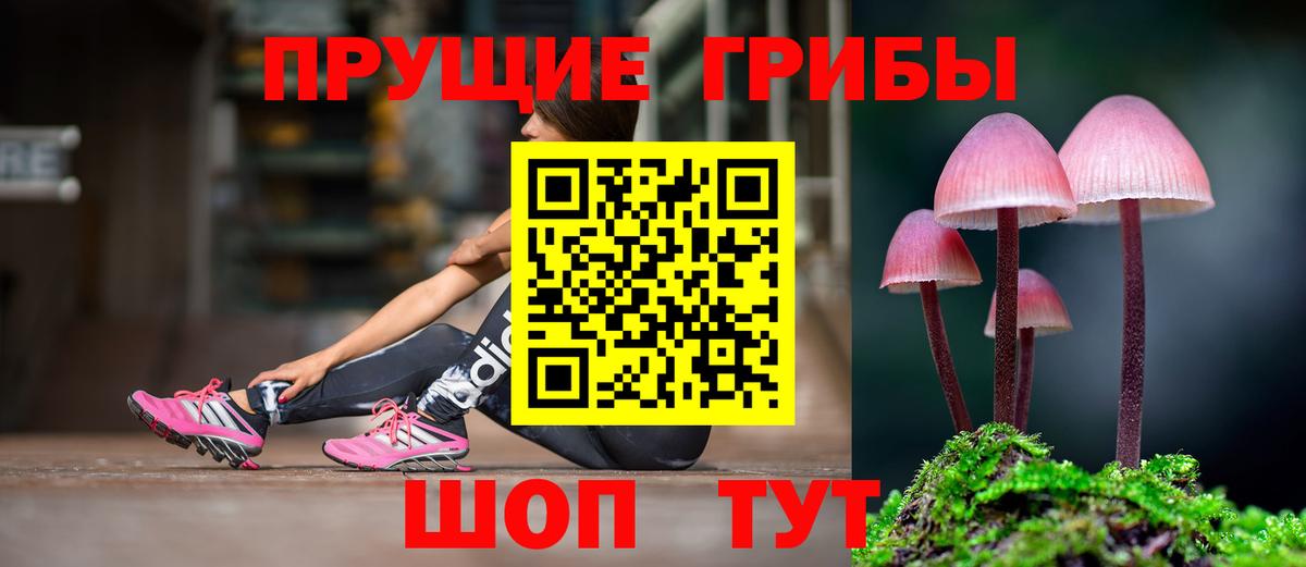 Псилоцибиновые грибы MAGIC MUSHROOMS Барнаул